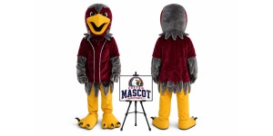 Falcon Mascot Hawk Eagle Mascot Costume Falcon Mascot Hawk Eagle Mascot Costume
