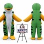 Fish Mascot Costume