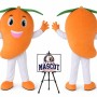 Fruit Mango Mascot Costume for Food Events