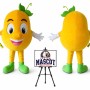 Fruit Mascot Costume