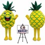 Fruit Pineapple Mascot Costume for Food Events