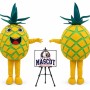 Fruit Pineapple Mascot Costume for Food Events