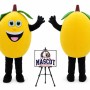 Fruit Lemon Mascot Costume