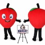 Giant Apple Mascot Costume for Food Events