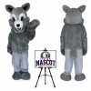 Squirrel Mascot Costume