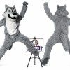 Wolf Mascot Costume