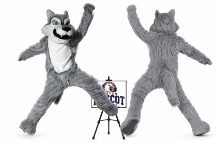 Wolf Mascot Costume