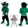 Devil Mascot Costume