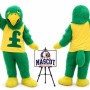 Falcon Mascot Costume