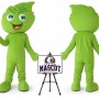 Leaf Mascot Costume