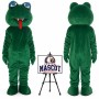Snake Mascot Costume