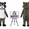 Animal Cartoon Raccoon Mascot Costume