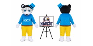 Animal Cartoon Little Wolf Mascot Costume
