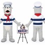 Cartoon Sea Lion Seal Mascot Costume