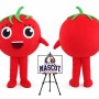 Cartoon Fruit Tomatoes Mascot Costume