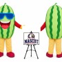 Cartoon Plant Fruit Watermelon Mascot Costume