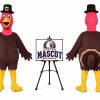 Animal Turkey Mascot Costume