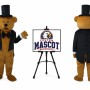 Bear Mascot Costume