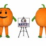 Big Fat Pumpkin Halloween Mascot Costume for Halloween Events