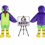 Bird Hummingbird Mascot Costume