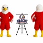 Birds Eagle Mascot Costume