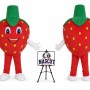 Adult Strawberry Mascot Costume