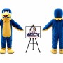 Falcon Eagle Hawk Mascot Costume