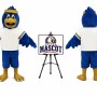 Falcon Mascot Costume
