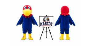 Hawk Eagle Falcon Mascot Costume Hawk Eagle Falcon Mascot Costume