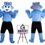 Wolf Mascot Costume