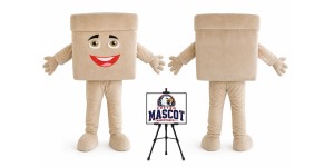 Box Mascot Costume Box Mascot Costume