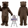 Bear Mascot Costume for Promotions