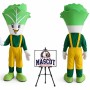 Cabbage Vegetable Mascot Costume