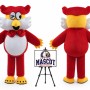 Cartoon Animal Owl Eagle Mascot Costume