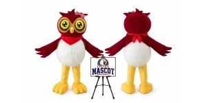 Cartoon Animal Owl Mascot Costume